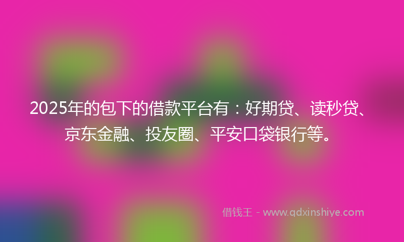 2025年的包下的借款平台有：好期贷、读秒贷、京东金融、投友圈、平安口袋银行等。
