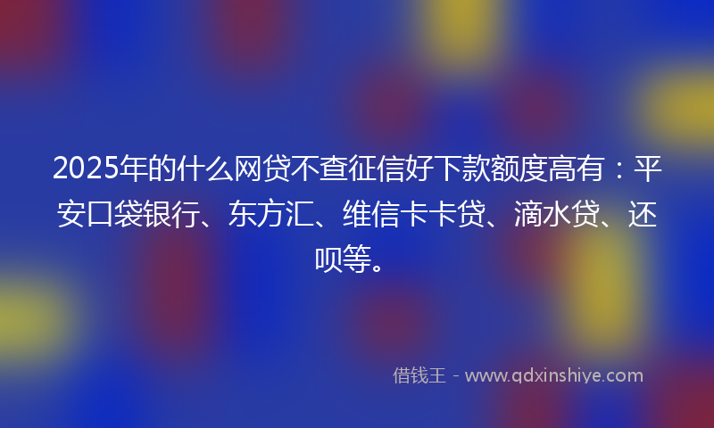 2025年的什么网贷不查征信好下款额度高有：平安口袋银行、东方汇、维信卡卡贷、滴水贷、还呗等。