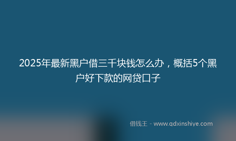 2025年最新黑户借三千块钱怎么办，概括5个黑户好下款的网贷口子