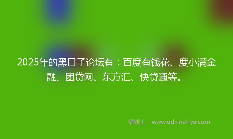 2025年的黑口子论坛有：百度有钱花、度小满金融、团贷网、东方汇、快贷通等。