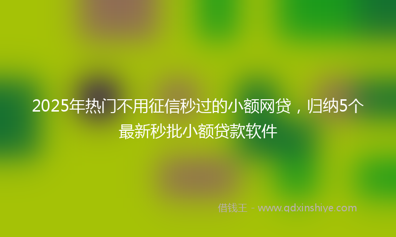 2025年热门不用征信秒过的小额网贷，归纳5个最新秒批小额贷款软件