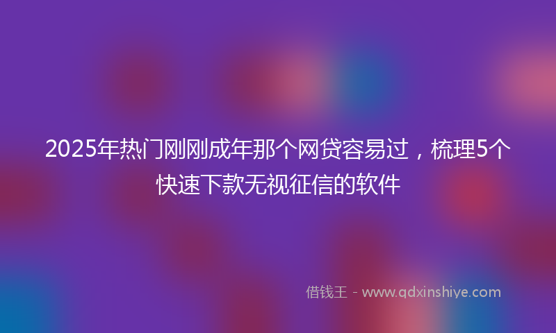 2025年热门刚刚成年那个网贷容易过，梳理5个快速下款无视征信的软件