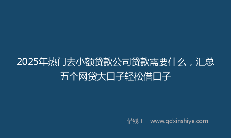 2025年热门去小额贷款公司贷款需要什么，汇总五个网贷大口子轻松借口子