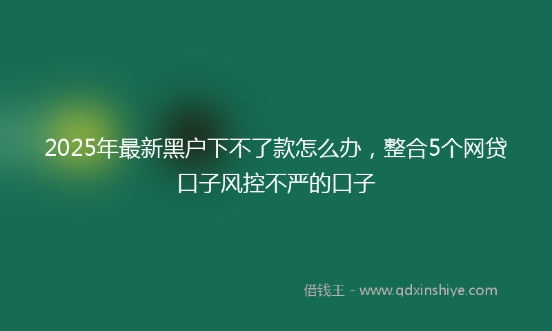 2025年最新黑户下不了款怎么办，整合5个网贷口子风控不严的口子