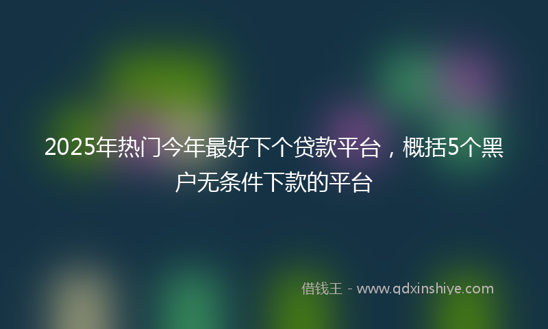 2025年热门今年最好下个贷款平台，概括5个黑户无条件下款的平台