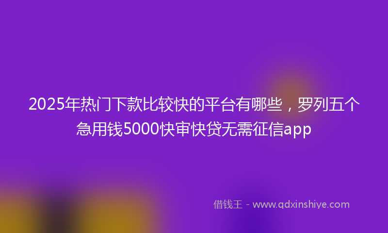 2025年热门下款比较快的平台有哪些，罗列五个急用钱5000快审快贷无需征信app