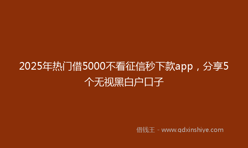 2025年热门借5000不看征信秒下款app，分享5个无视黑白户口子
