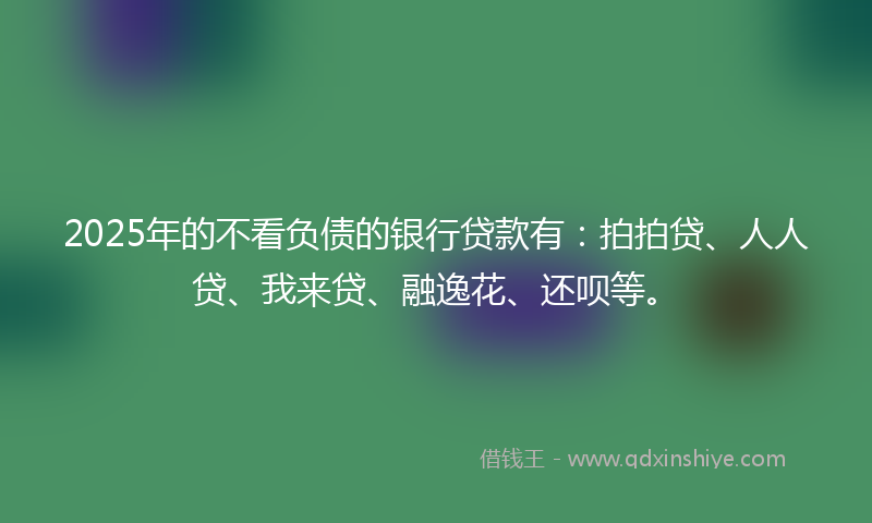 2025年的不看负债的银行贷款有：拍拍贷、人人贷、我来贷、融逸花、还呗等。