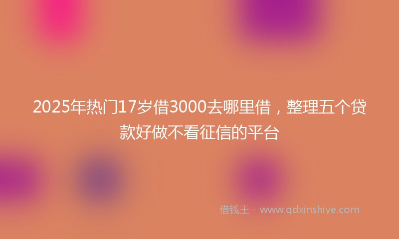 2025年热门17岁借3000去哪里借，整理五个贷款好做不看征信的平台