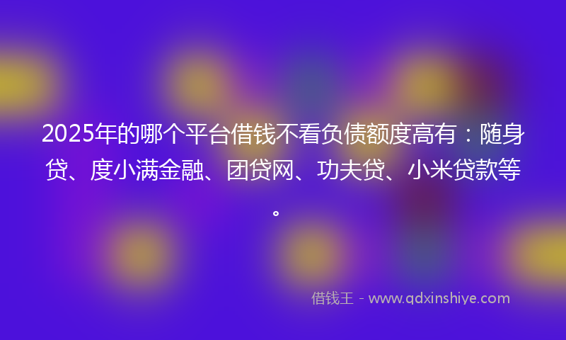 2025年的哪个平台借钱不看负债额度高有：随身贷、度小满金融、团贷网、功夫贷、小米贷款等。