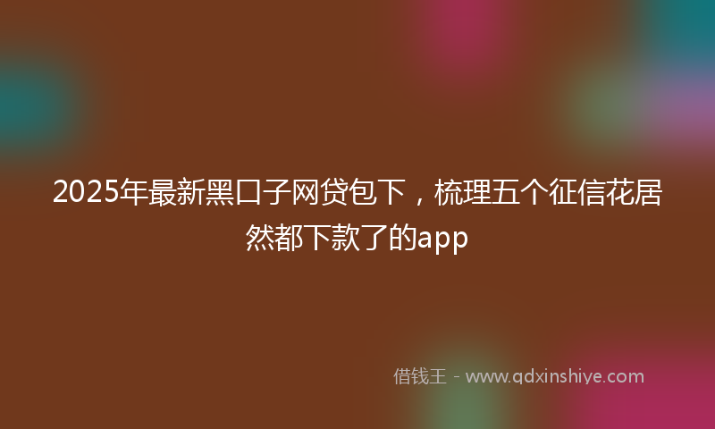 2025年最新黑口子网贷包下，梳理五个征信花居然都下款了的app