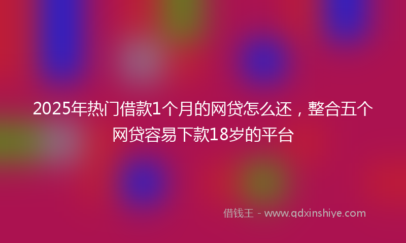 2025年热门借款1个月的网贷怎么还，整合五个网贷容易下款18岁的平台