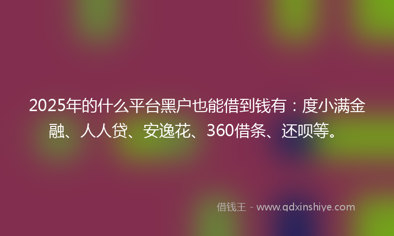 2025年的什么平台黑户也能借到钱有：度小满金融、人人贷、安逸花、360借条、还呗等。