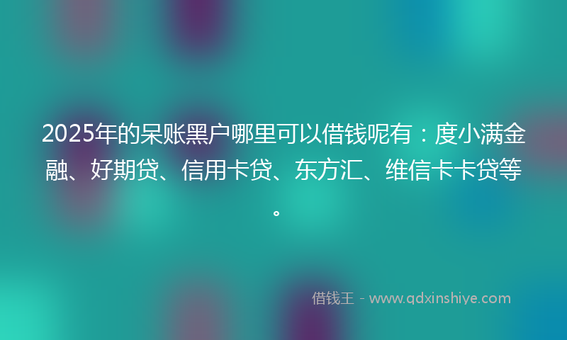 2025年的呆账黑户哪里可以借钱呢有：度小满金融、好期贷、信用卡贷、东方汇、维信卡卡贷等。