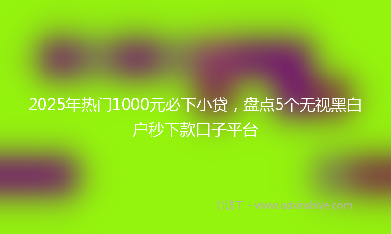 2025年热门1000元必下小贷，盘点5个无视黑白户秒下款口子平台