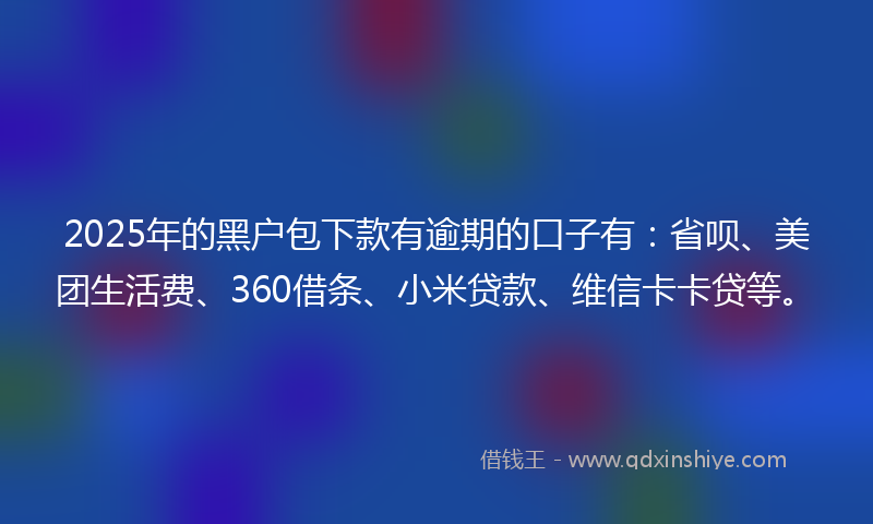 2025年的黑户包下款有逾期的口子有：省呗、美团生活费、360借条、小米贷款、维信卡卡贷等。