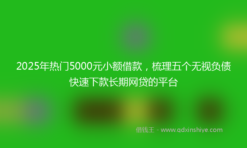 2025年热门5000元小额借款，梳理五个无视负债快速下款长期网贷的平台