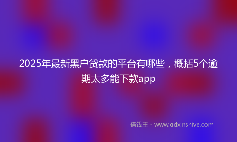 2025年最新黑户贷款的平台有哪些，概括5个逾期太多能下款app