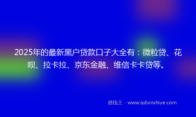 2025年的最新黑户贷款口子大全有：微粒贷、花呗、拉卡拉、京东金融、维信卡卡贷等。