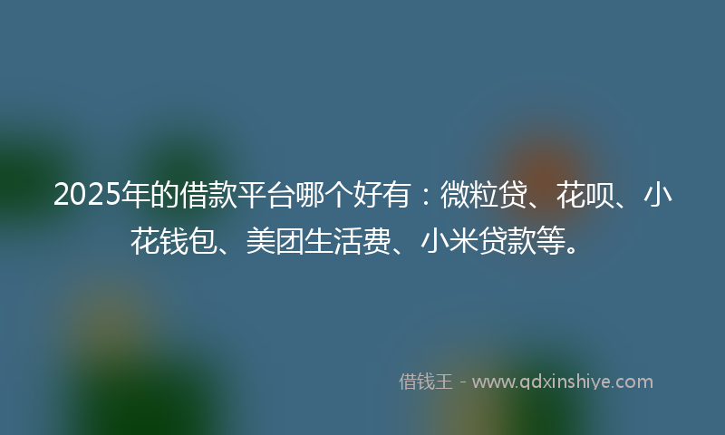 2025年的借款平台哪个好有：微粒贷、花呗、小花钱包、美团生活费、小米贷款等。