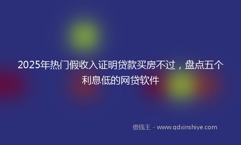 2025年热门假收入证明贷款买房不过，盘点五个利息低的网贷软件