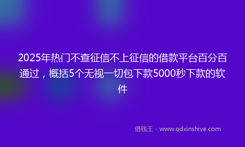 2025年热门不查征信不上征信的借款平台百分百通过，概括5个无视一切包下款5000秒下款的软件