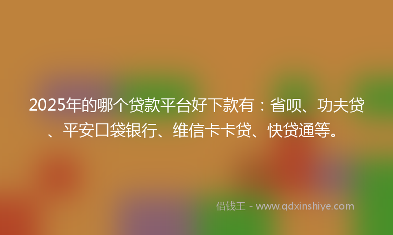 2025年的哪个贷款平台好下款有：省呗、功夫贷、平安口袋银行、维信卡卡贷、快贷通等。