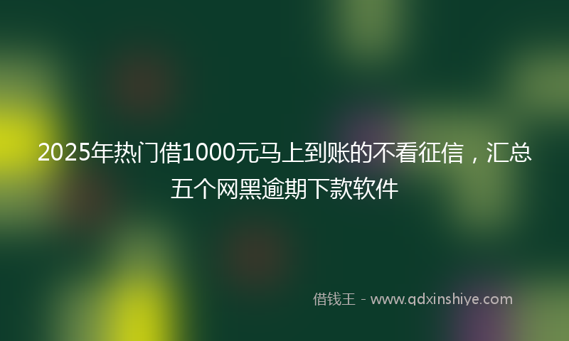 2025年热门借1000元马上到账的不看征信，汇总五个网黑逾期下款软件