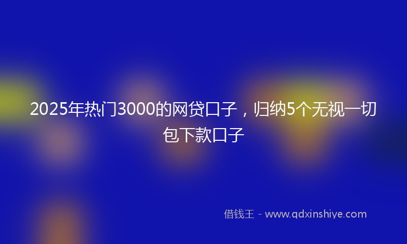 2025年热门3000的网贷口子，归纳5个无视一切包下款口子
