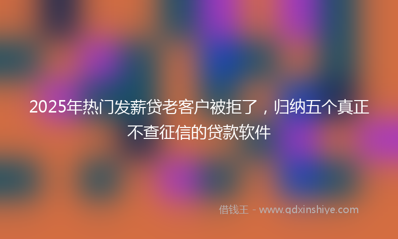 2025年热门发薪贷老客户被拒了，归纳五个真正不查征信的贷款软件