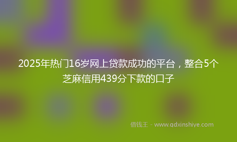 2025年热门16岁网上贷款成功的平台，整合5个芝麻信用439分下款的口子