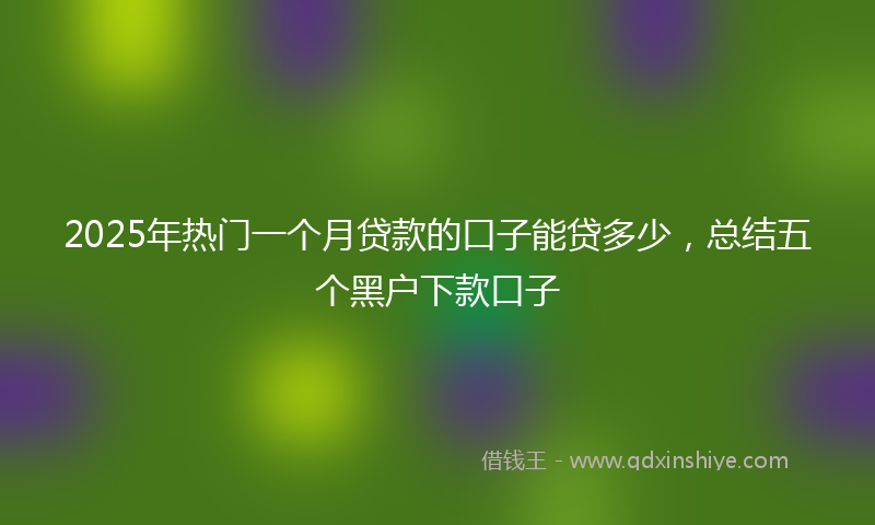 2025年热门一个月贷款的口子能贷多少，总结五个黑户下款口子