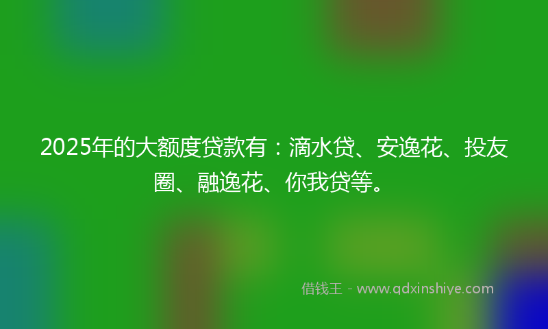 2025年的大额度贷款有：滴水贷、安逸花、投友圈、融逸花、你我贷等。