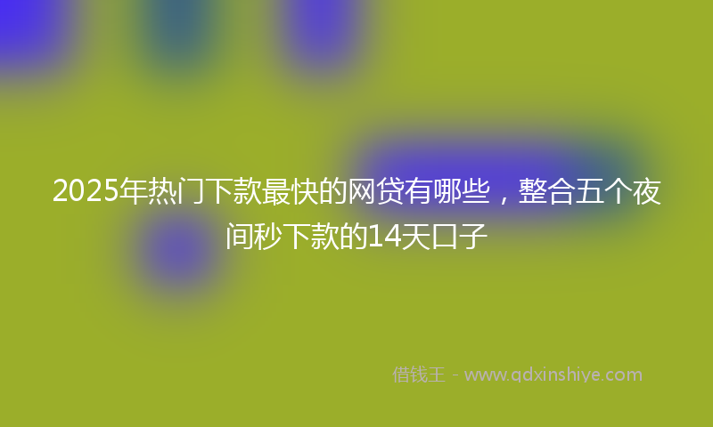 2025年热门下款最快的网贷有哪些，整合五个夜间秒下款的14天口子