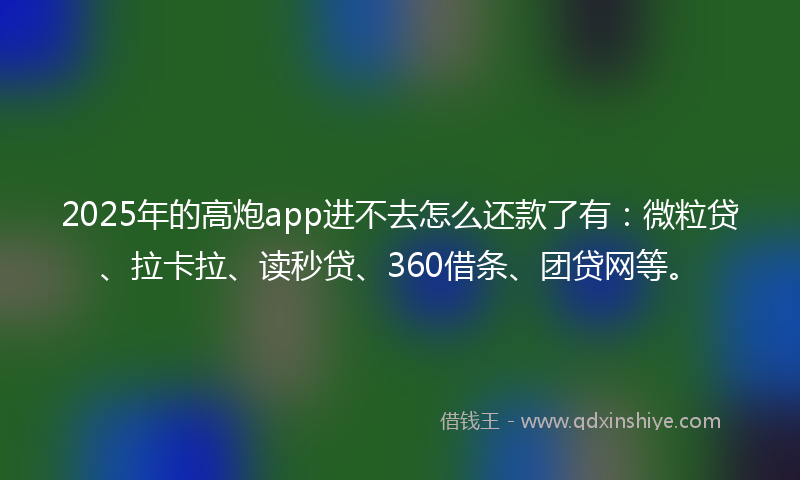 2025年的高炮app进不去怎么还款了有：微粒贷、拉卡拉、读秒贷、360借条、团贷网等。
