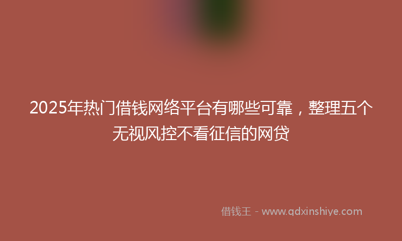 2025年热门借钱网络平台有哪些可靠，整理五个无视风控不看征信的网贷