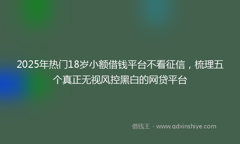 2025年热门18岁小额借钱平台不看征信，梳理五个真正无视风控黑白的网贷平台