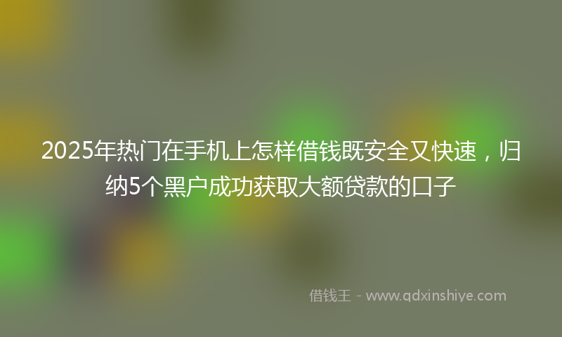2025年热门在手机上怎样借钱既安全又快速，归纳5个黑户成功获取大额贷款的口子
