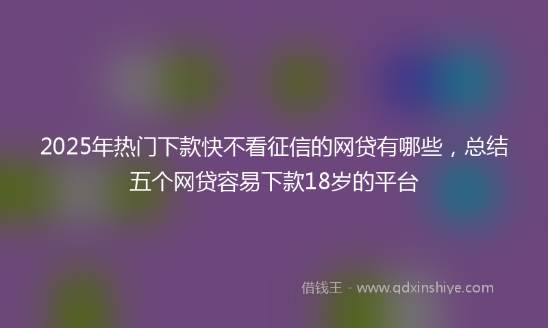 2025年热门下款快不看征信的网贷有哪些，总结五个网贷容易下款18岁的平台