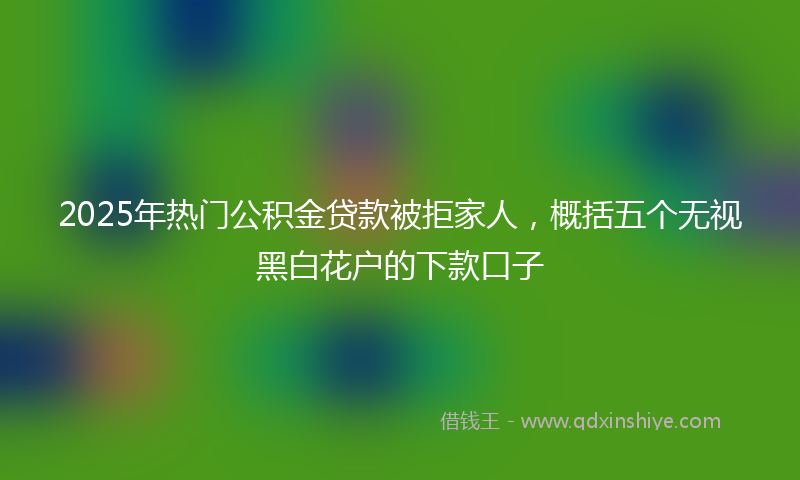 2025年热门公积金贷款被拒家人，概括五个无视黑白花户的下款口子
