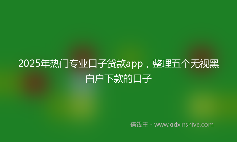 2025年热门专业口子贷款app，整理五个无视黑白户下款的口子