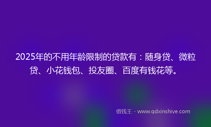 2025年的不用年龄限制的贷款有：随身贷、微粒贷、小花钱包、投友圈、百度有钱花等。