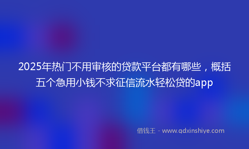 2025年热门不用审核的贷款平台都有哪些，概括五个急用小钱不求征信流水轻松贷的app