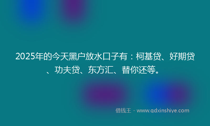 2025年的今天黑户放水口子有：柯基贷、好期贷、功夫贷、东方汇、替你还等。