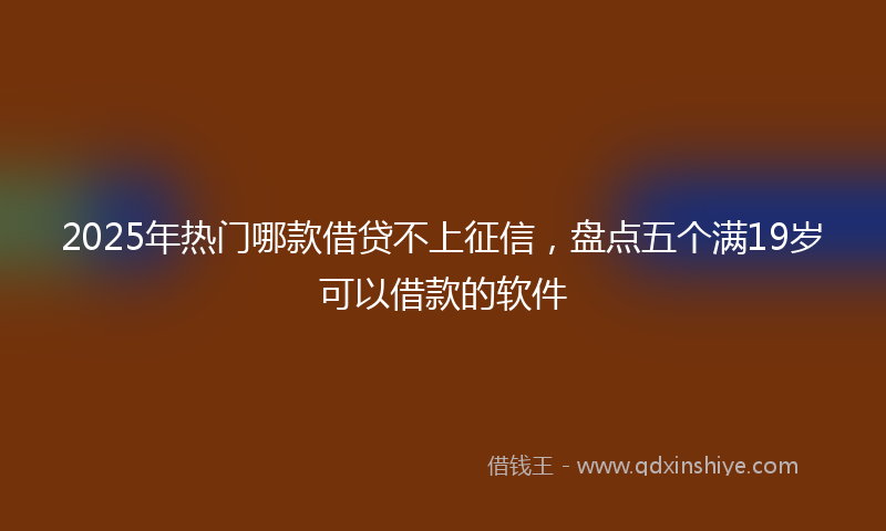 2025年热门哪款借贷不上征信，盘点五个满19岁可以借款的软件