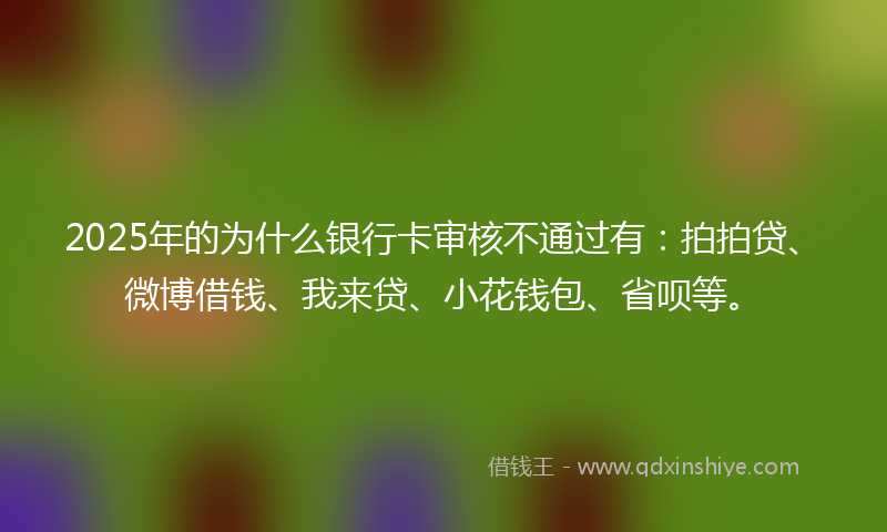 2025年的为什么银行卡审核不通过有：拍拍贷、微博借钱、我来贷、小花钱包、省呗等。