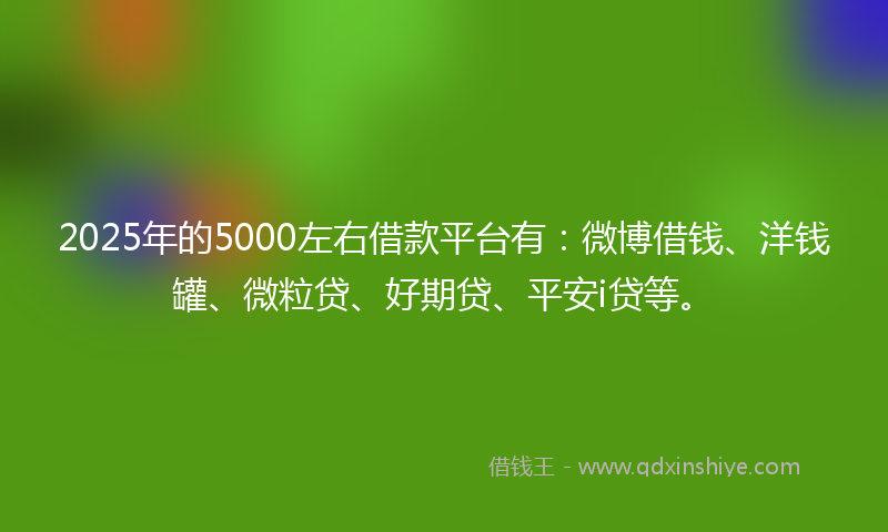 2025年的5000左右借款平台有：微博借钱、洋钱罐、微粒贷、好期贷、平安i贷等。