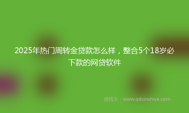 2025年热门周转金贷款怎么样，整合5个18岁必下款的网贷软件