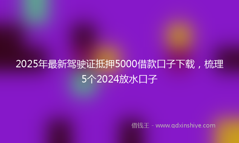 2025年最新驾驶证抵押5000借款口子下载，梳理5个2024放水口子