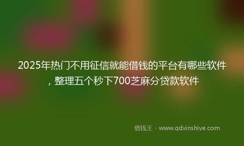 2025年热门不用征信就能借钱的平台有哪些软件，整理五个秒下700芝麻分贷款软件